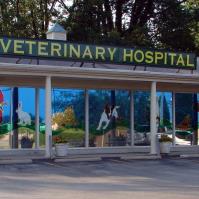 Veterinary Associates Stonefield image 1